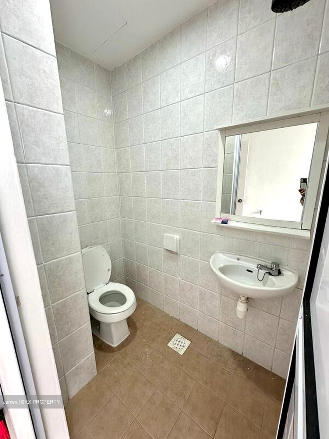 Grand Chateau (D21), Condominium #539861871